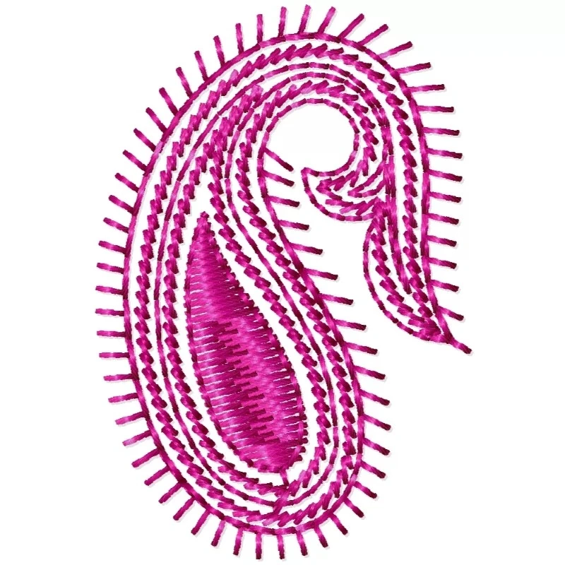 Beautiul Paisley Machine Embroidery Design 2x2