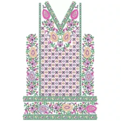 Traditional Indian Embroidery Dress Design
